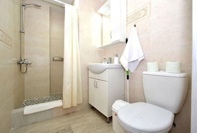 Garsonieră în Pantelimon - 2