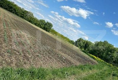 Teren 4800 mp pentru investit, zona Radauti