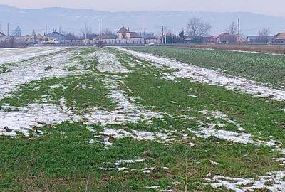 Spațiu comercial, în Oșorhei - 2