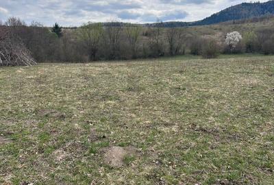 Spațiu comercial, în Șinca - 2