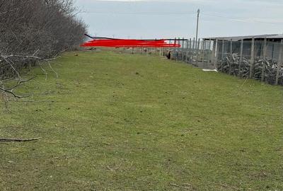 Casă cu 4 camere cu Teren 5000 Mp în Fântânele - 2