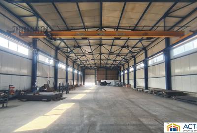 Hala de inchiriat, zona Berceni, pod rulant - 2