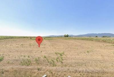 Teren de 10693 mp, în Pianu - 5