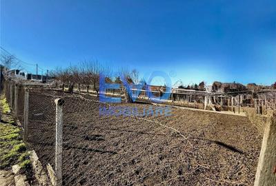 Teren de 500 mp, în Valea Lupului - 1