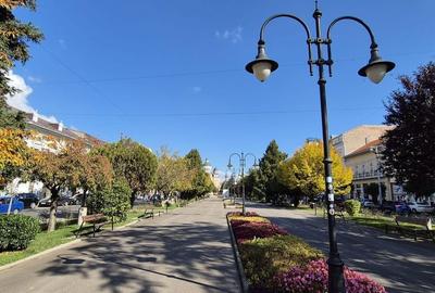 Spațiu comercial, de 500 mp, în Ultracentral - 1