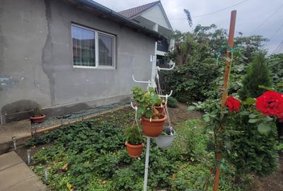 Valu lui Traian -casa 3 camere cu teren 300 mp -gaze la poarta -79900 Euro neg - 32