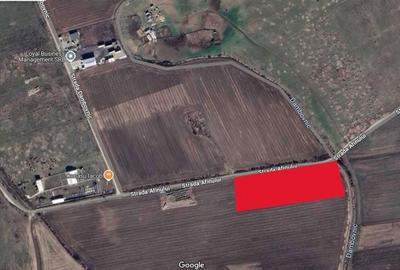 Spațiu comercial, în Albota - 2