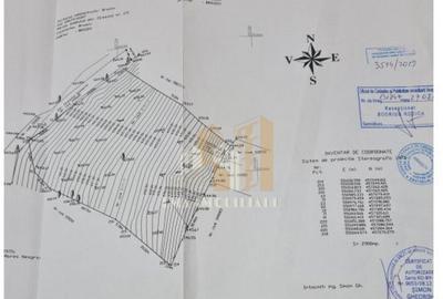 Teren de vanzare 2900 mp Brasov/Strada Ciresului - 13
