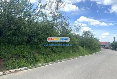 Vanzare teren intravilan Baicoi zona Tintea - 1