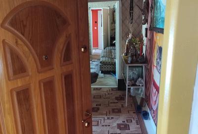 Apartament cu 2 camere semidecomandat în Cetate - 9
