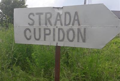 Teren de 540 mp, în Domnești - 2