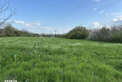 Teren de 860 mp, în Sinești - 1