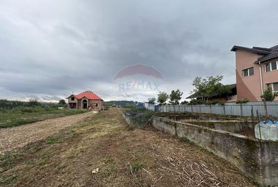 Teren de 4280 mp, în Lăpuș - 3