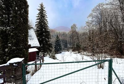 Spațiu comercial, în Moroeni - 3