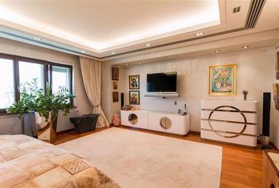 Apartament cu 8 camere decomandat în Herăstrău - 22