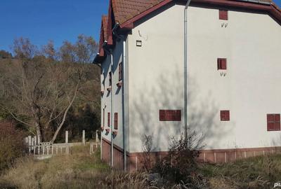 Casă cu 6 camere în Teliucu Inferior - 2