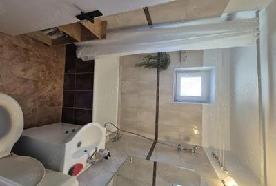 Apartament cu 2 camere semidecomandat în Gorjului - 5