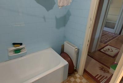 Casa 170 mp constuiti + 325 mp teren+ garaj - 12