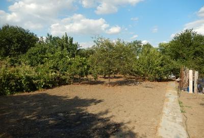 Calugareni-Branistari-casa 4 camere, teren 1965 mp, curent, put, libera,69900 € - 30