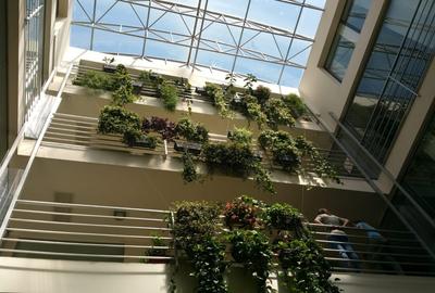 Inchiriere spatiu pentru birouri, 65 mp., Ultracentral Cluj 650 EUR! - 4