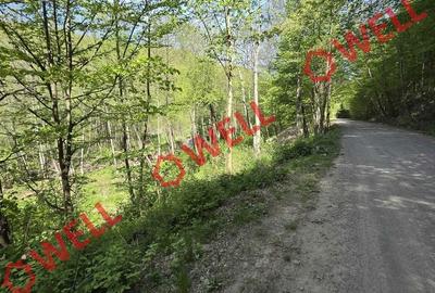 Teren de 5600 mp, în Brăduț - 8