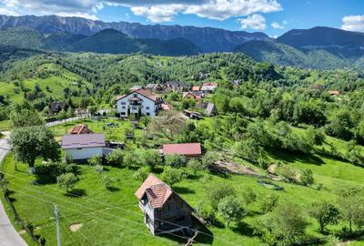 Teren Construcții intravilan de 2000 mp, în Peștera - 5