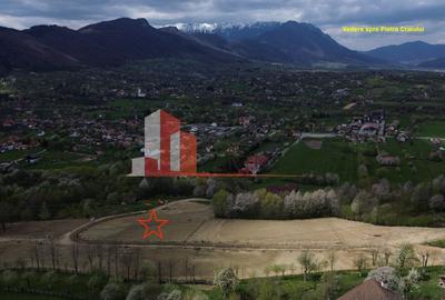 Teren Construcții intravilan de 1000 mp, în Bran - 3