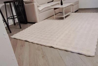 Garsonieră decomandată, mobilată în Iosefin - 4