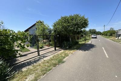 BELCIUGATELE- Casă de vacanță sau locuință permanentă - 23