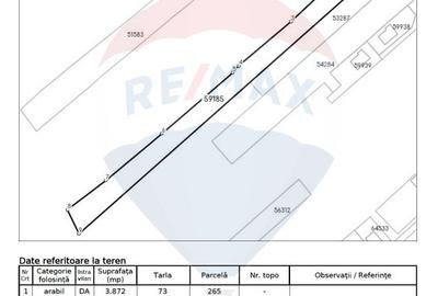 Vanzare Teren Constructii Langa Lac și Padure | Branesti | Ocazie! - 9