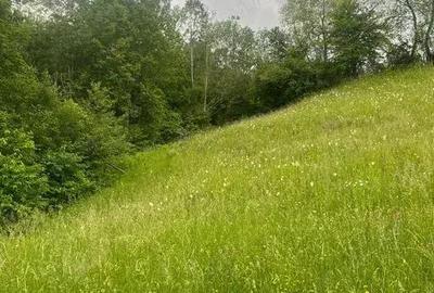 Teren intravilan 7426 mp de vanzare in Valea Doftanei utilitati la limita proprietatii - 1