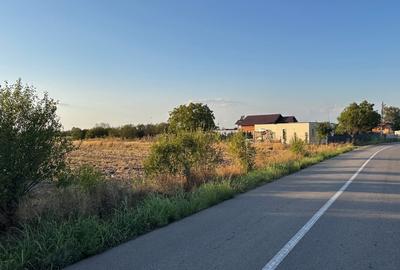 Teren 6700 mp Olteni, jud. Dambovita – la doar 900 m de Autostrada A1 (km 63) - 5