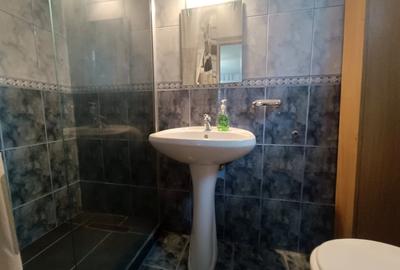 Casă individuală cu 7 camere cu Canalizare în Valea Mănăstirii - 8