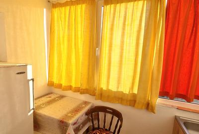 Apartament cu 2 camere decomandat, mobilat în Lipovei - 6