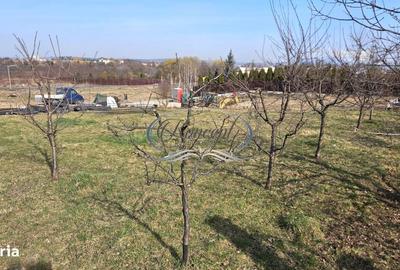 Spațiu comercial, în Bună Ziua - 3