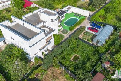 Vila cu Piscina Termala, Pasarea, Branesti - 6