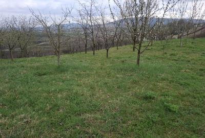 Spațiu comercial, în Uioara de Sus - 4