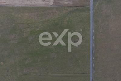 Teren 11.600 mp – Rasnov, zona Tabara, 230 m de DN 73 - 9