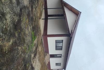 Casă cu Teren 7066 Mp în Dobroteasa - 8