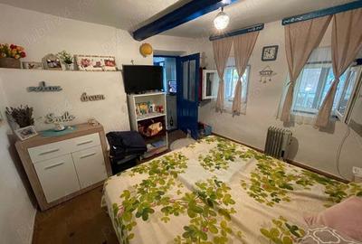 Casa vacanta langa lac Murighiol Casa vacanta langa lac Murighiol - 4