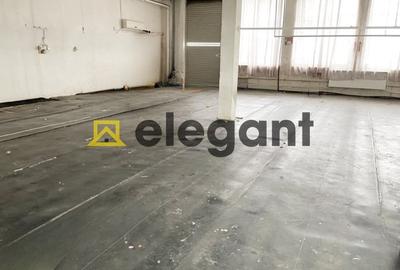 Spațiu industrial, de 493.60998535156 mp, în Calea Severinului - 2