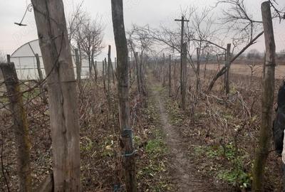 Vand casa + teren com. Prundeni - 6