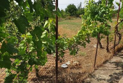 Vand sau schimb casa in sat Mosneni, com 23 August, Jud Constanta - 1