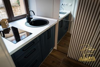 Apartmanet cu o camera de inchiriat in zona ultracentrala- Oradea - 6