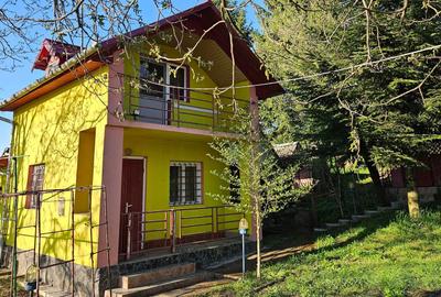 Casă cu 2 camere în Ațintiș - 2