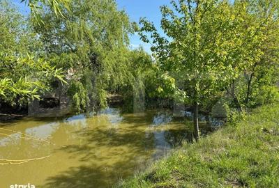 Spațiu comercial, în Calafindești - 4