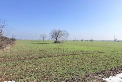 Teren de 3000 mp, în Central - 2