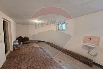 Casă cu 7 camere cu Teren 5175 Mp în Vințu de Jos - 17