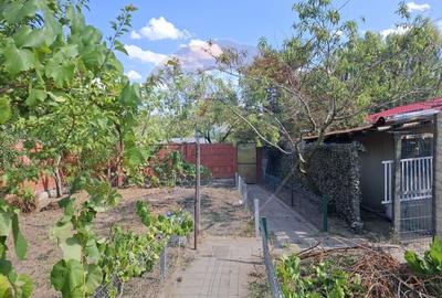 Casa / Vila cu 6 camere de vanzare in zona Calea Severinului - 18