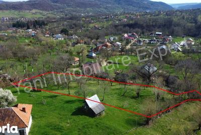 Teren de 3011 mp, în Bradu - 7